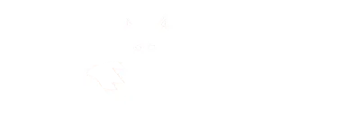Fox Business Support Logo - White